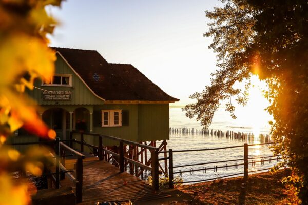 house, nature, lake-3966469.jpg